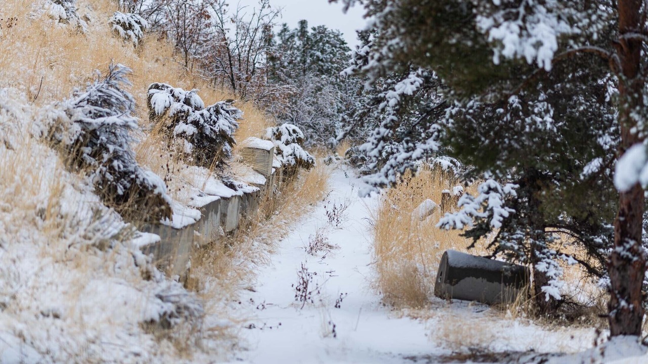 Photo of Outdoor in Garden City