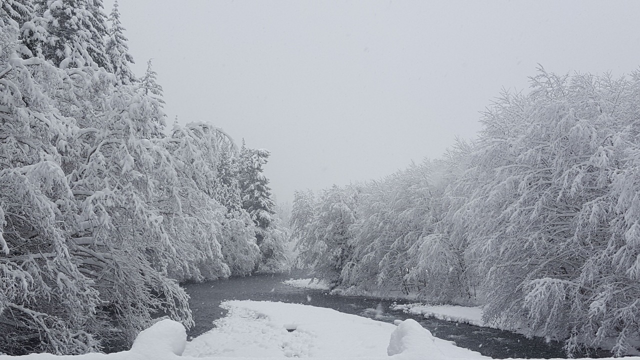 Photo of Others in Enumclaw