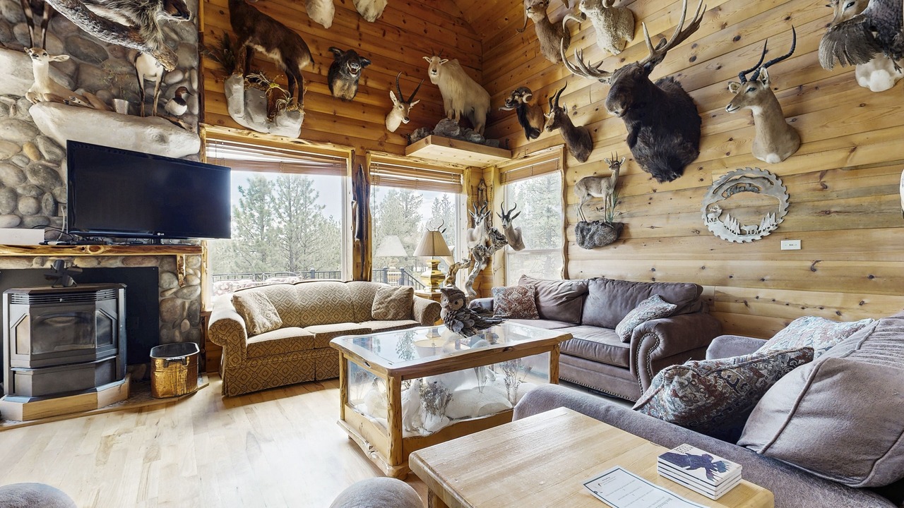Photo of Livingroom in New Meadows