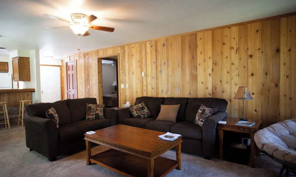 Photo of Livingroom in McCall