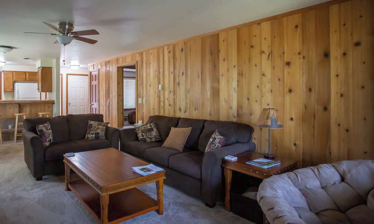 Photo of Livingroom in McCall