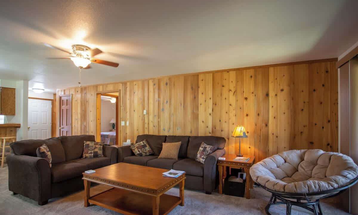 Photo of Livingroom in McCall