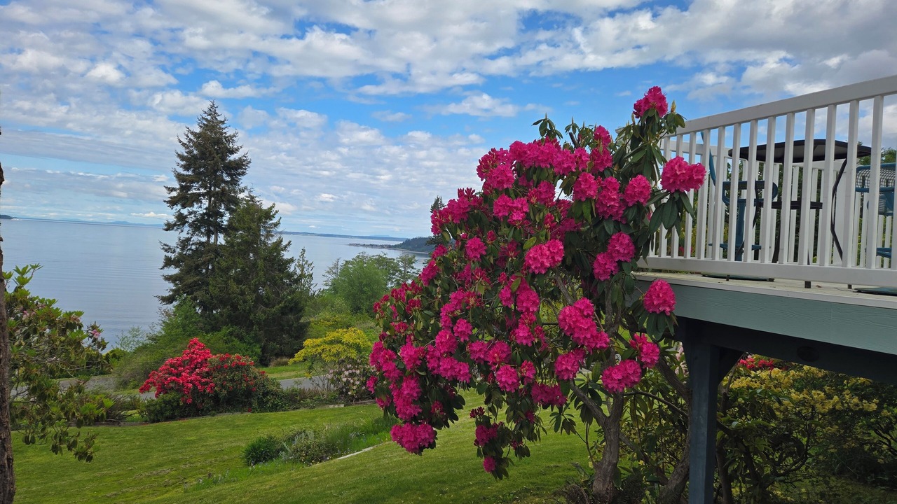 Photo of Outdoor in Freeland