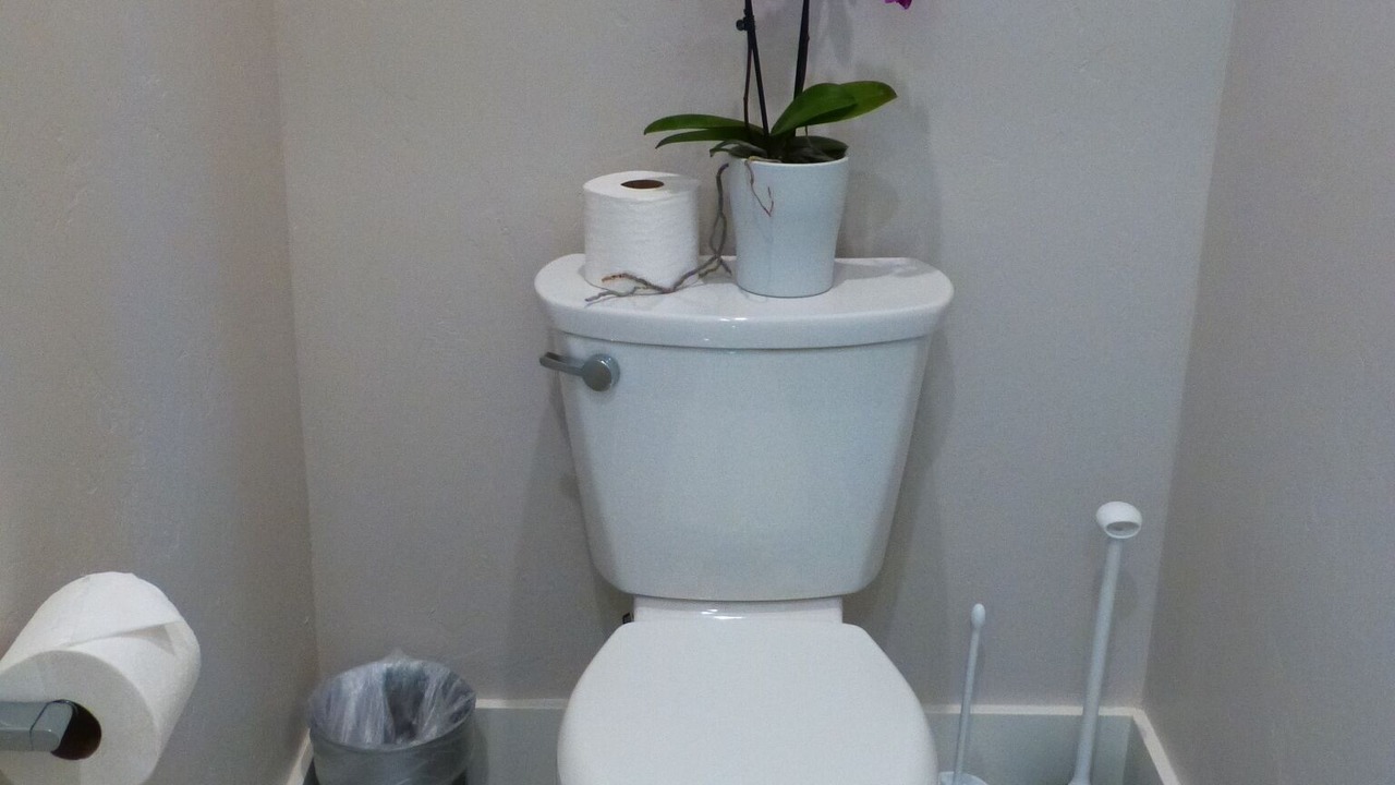 Photo of Bathroom in Hoback Junction