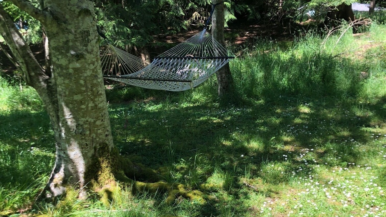 Photo of Outdoor in Lakebay