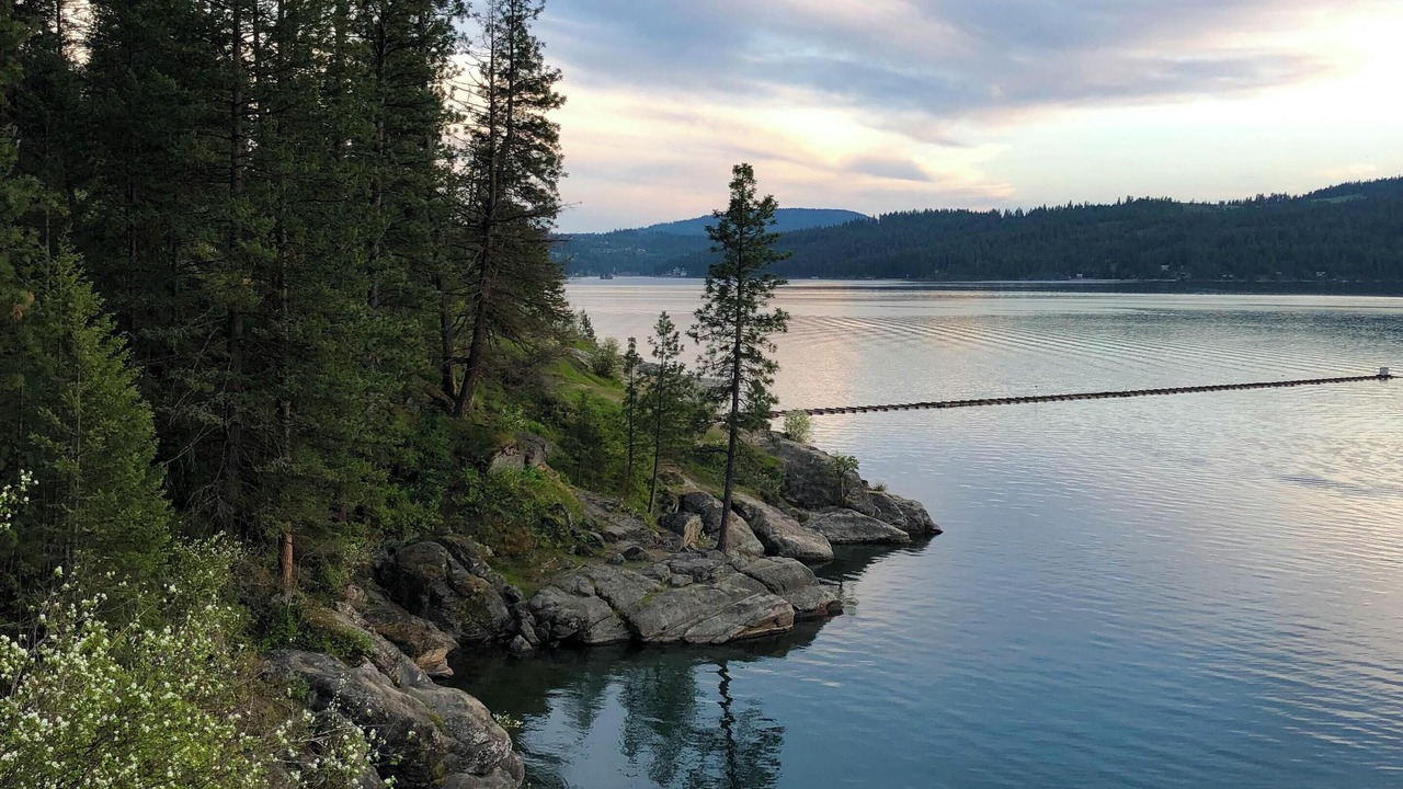 Photo of Others in Coeur d'Alene