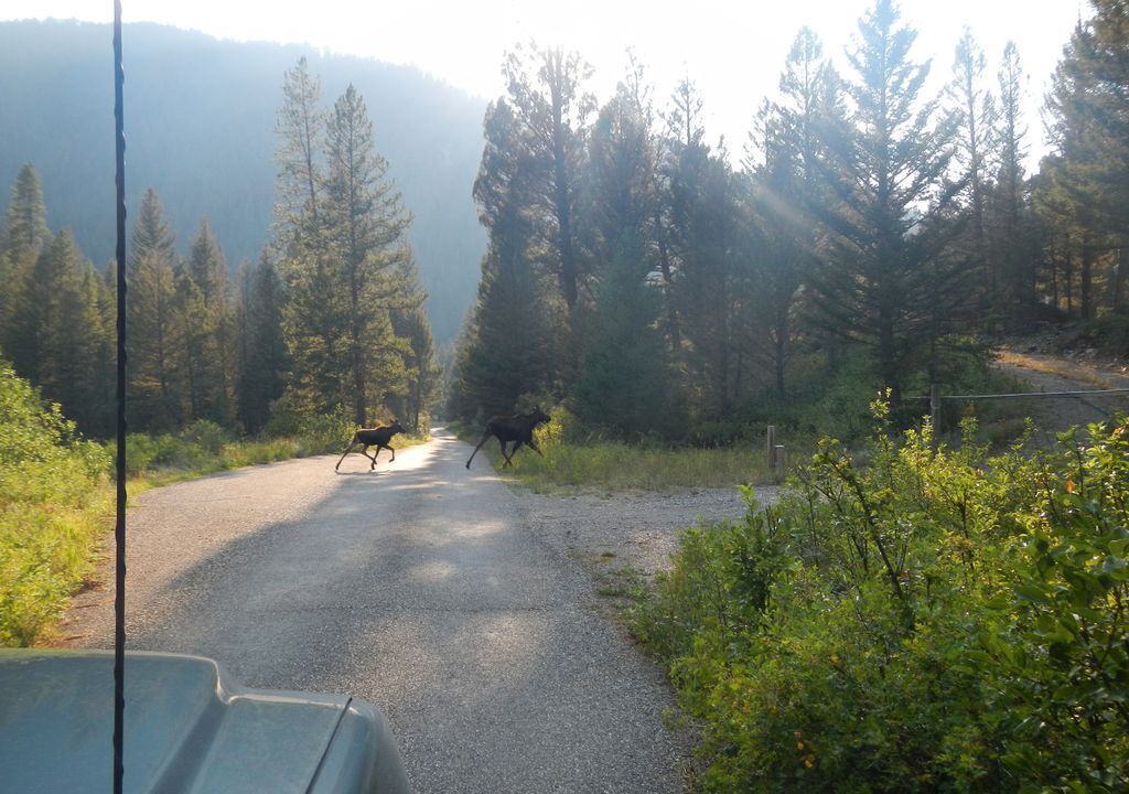 Photo of Outdoor in Lost Trails Retreat