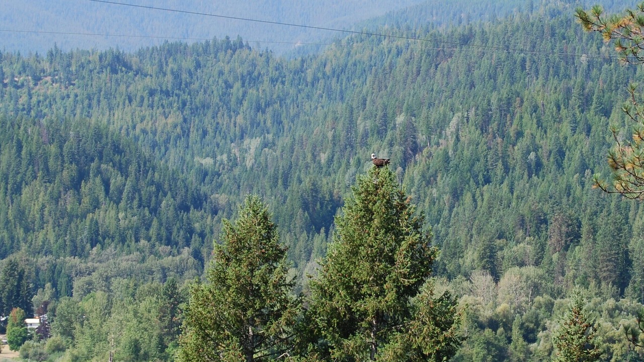 Photo of Others in Metaline Falls