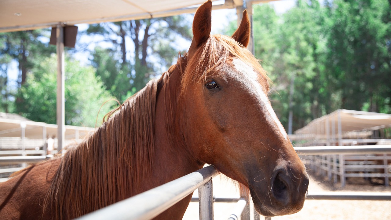 Photo of Others in Black Butte Ranch