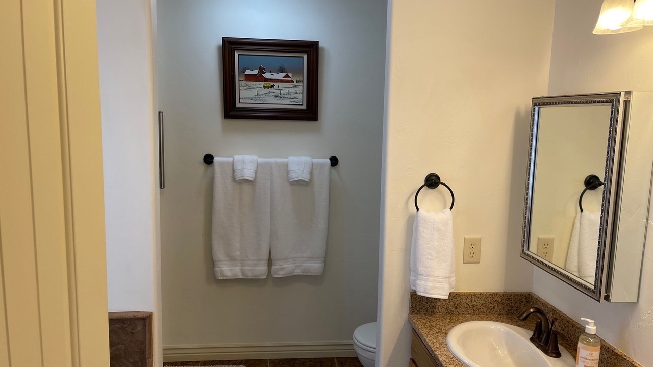Photo of Bathroom in Driggs