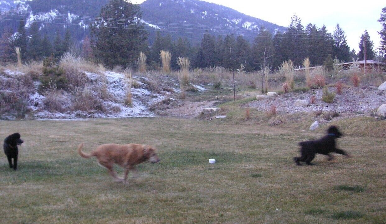 Photo of Outdoor in Methow Valley