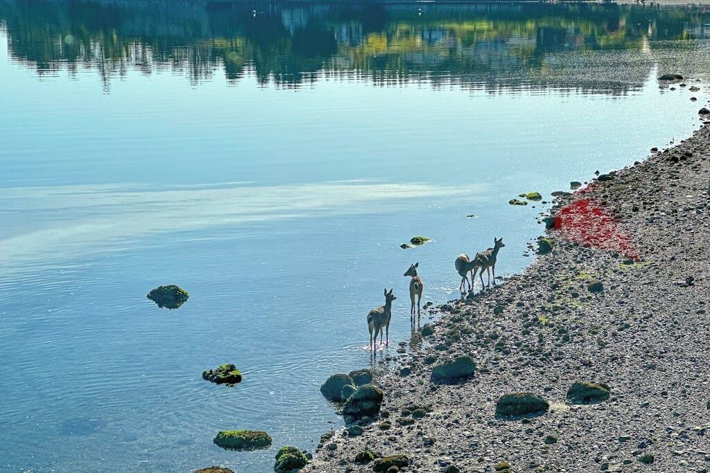 Photo of Others in Coupeville
