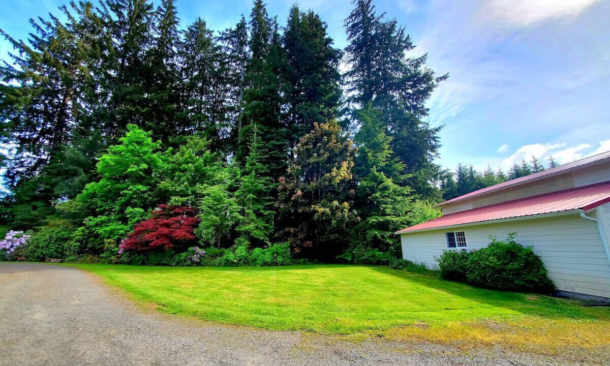 Photo of Outdoor in Forks