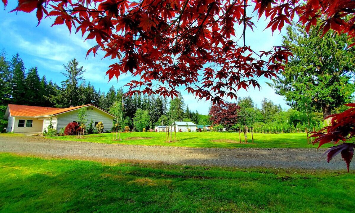 Photo of Outdoor in Forks