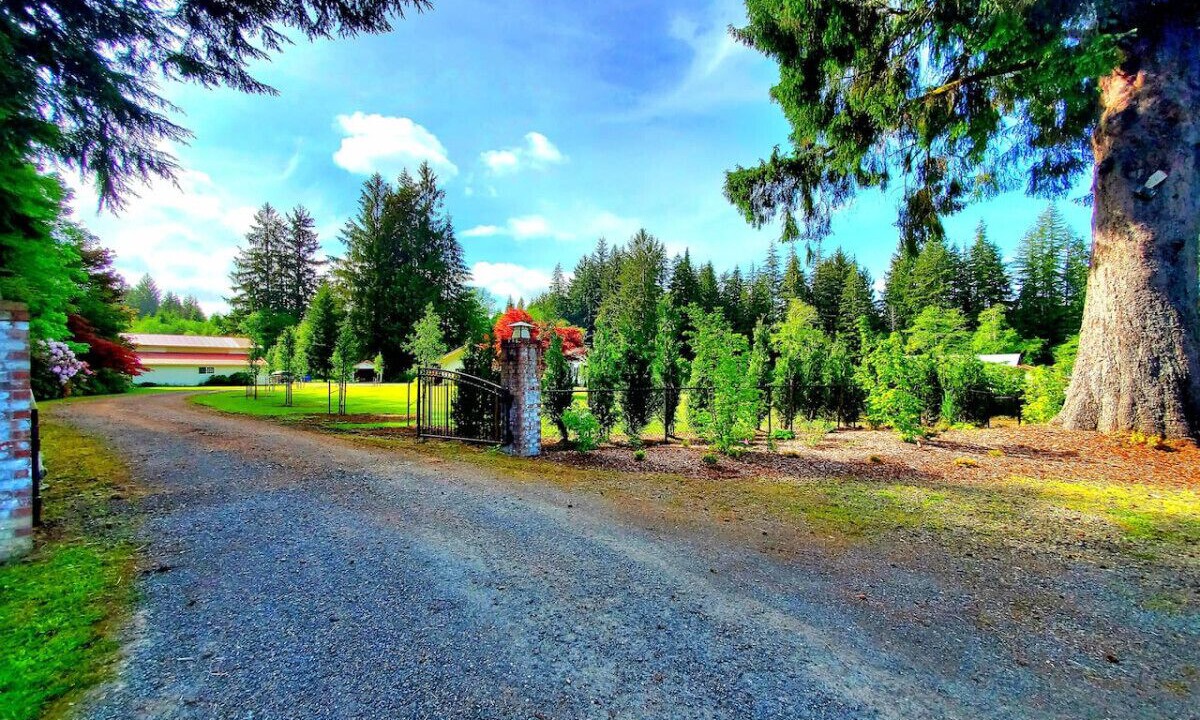 Photo of Outdoor in Forks