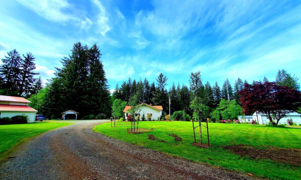 Photo of Outdoor in Forks