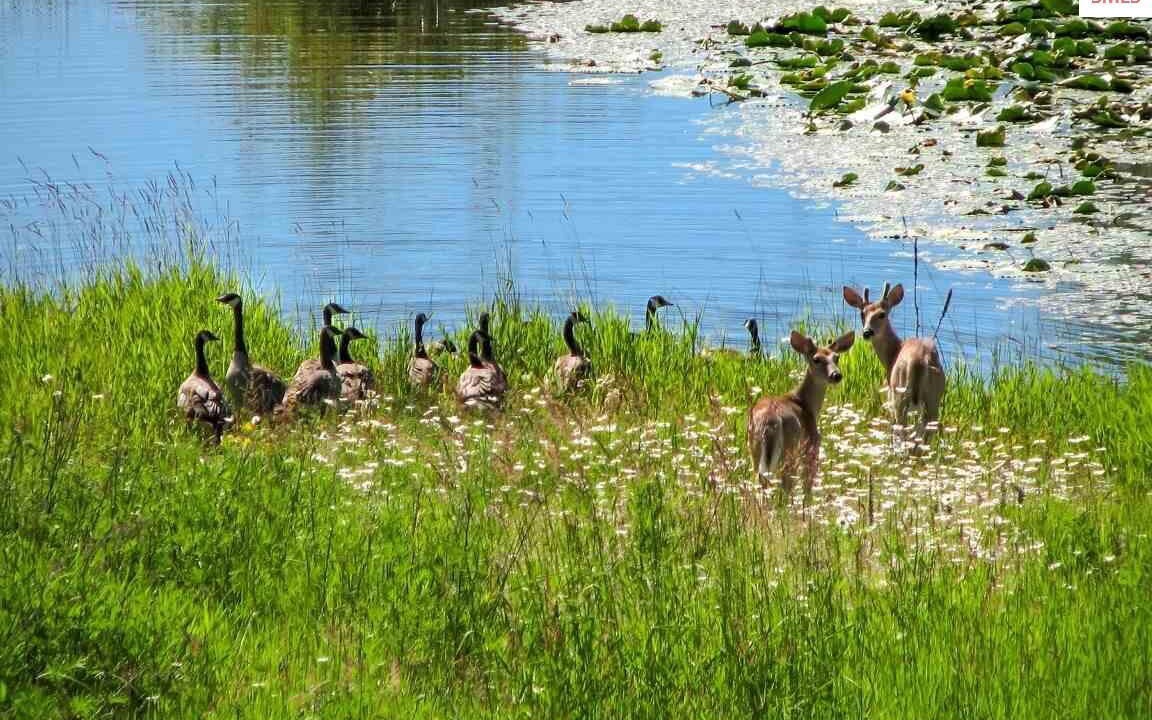 Photo of Others in Clark Fork