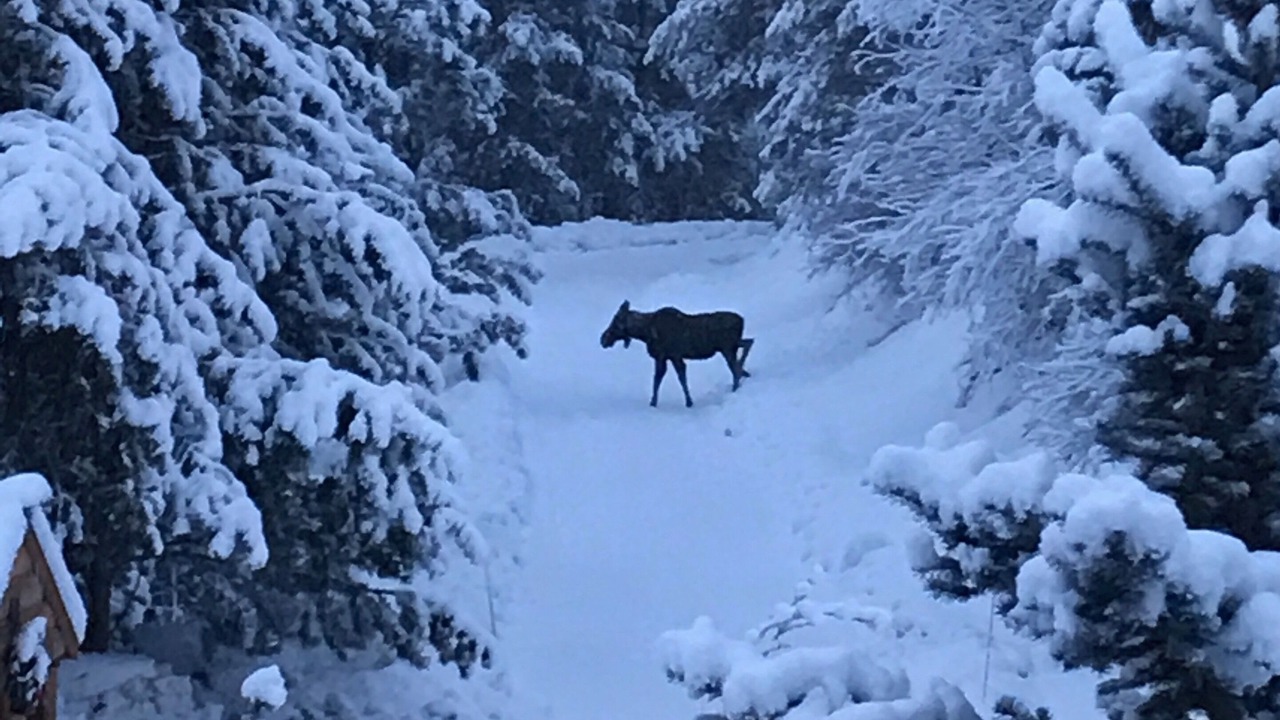Photo of Others in Boundary County