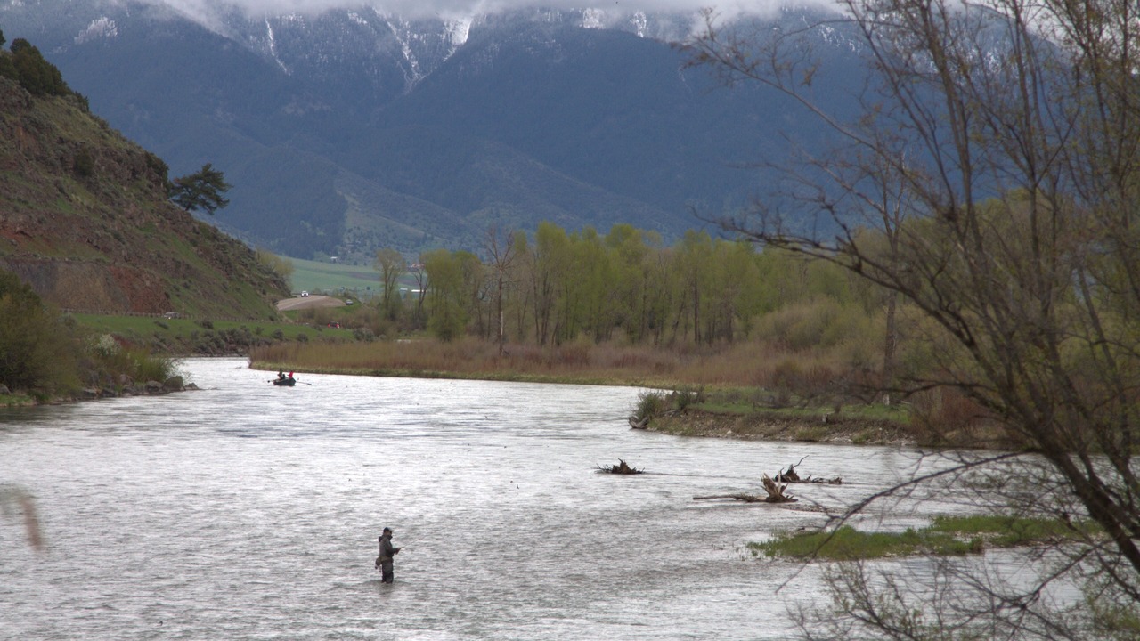 Photo of Others in Irwin