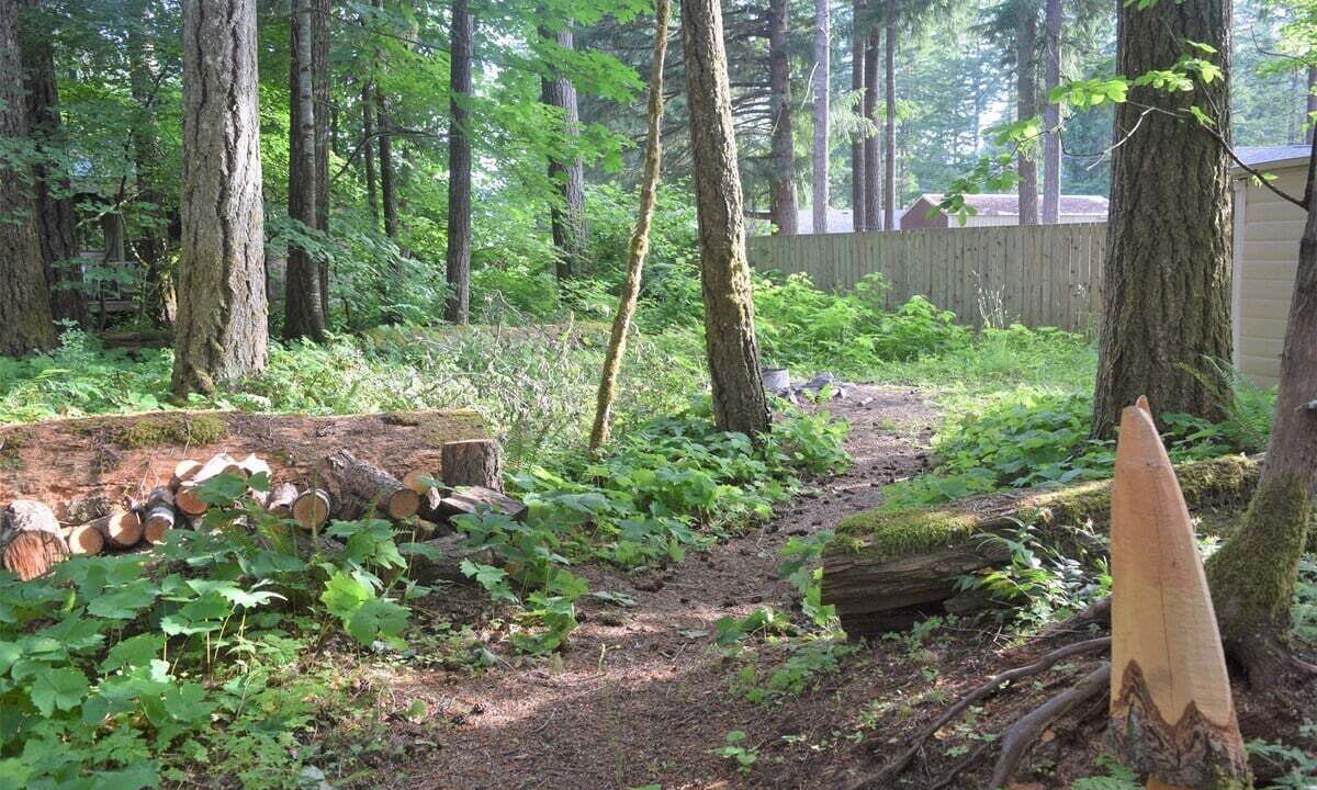 Photo of Outdoor in Packwood