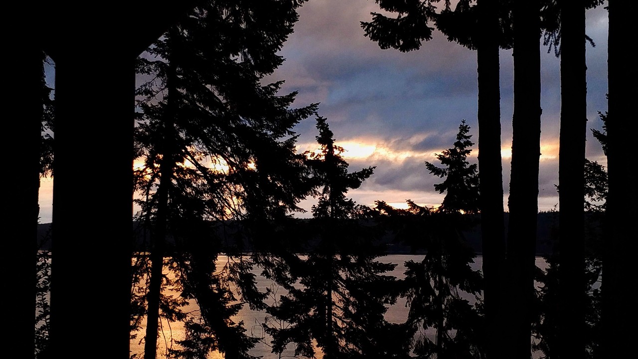 Photo of Others in Quilcene