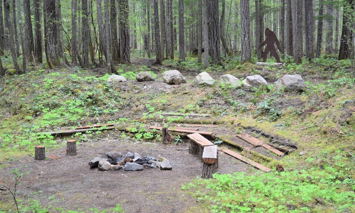 Photo of Outdoor in Packwood