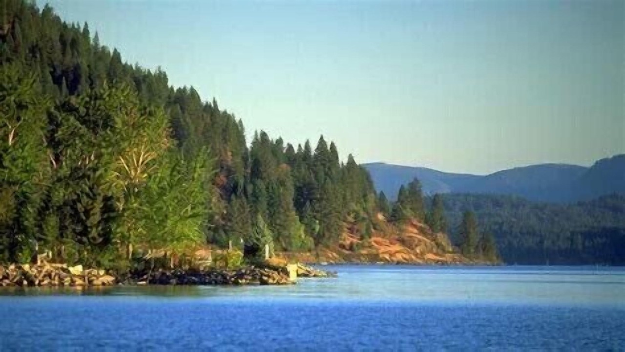 Photo of Others in Sandpoint