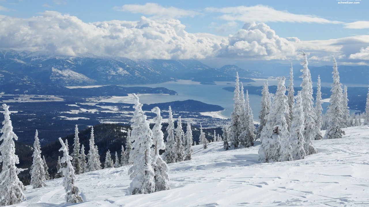 Photo of Others in Sandpoint