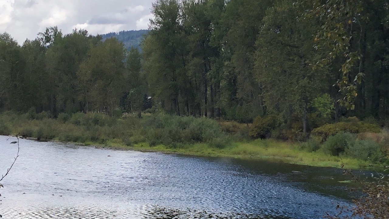 Photo of Others in Shoshone County