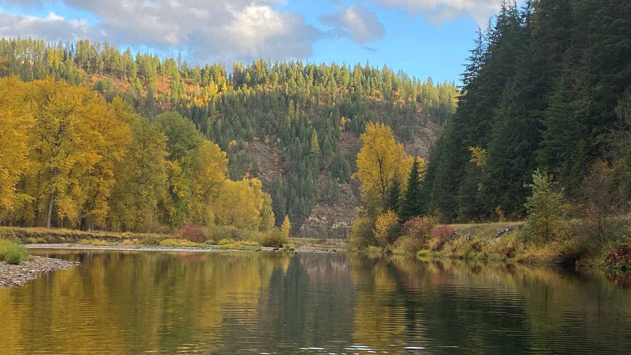 Photo of Others in Shoshone County