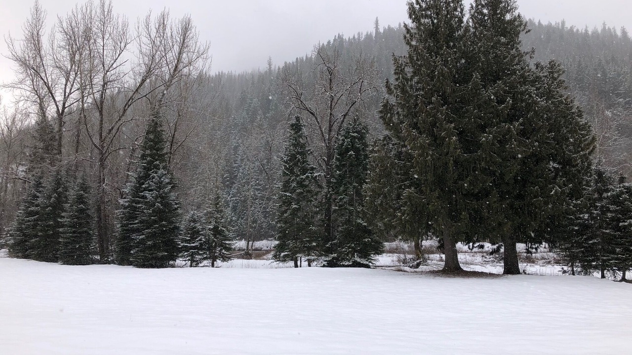 Photo of Others in Shoshone County