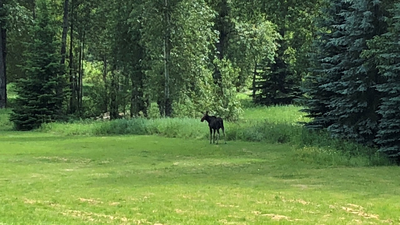 Photo of Others in Shoshone County
