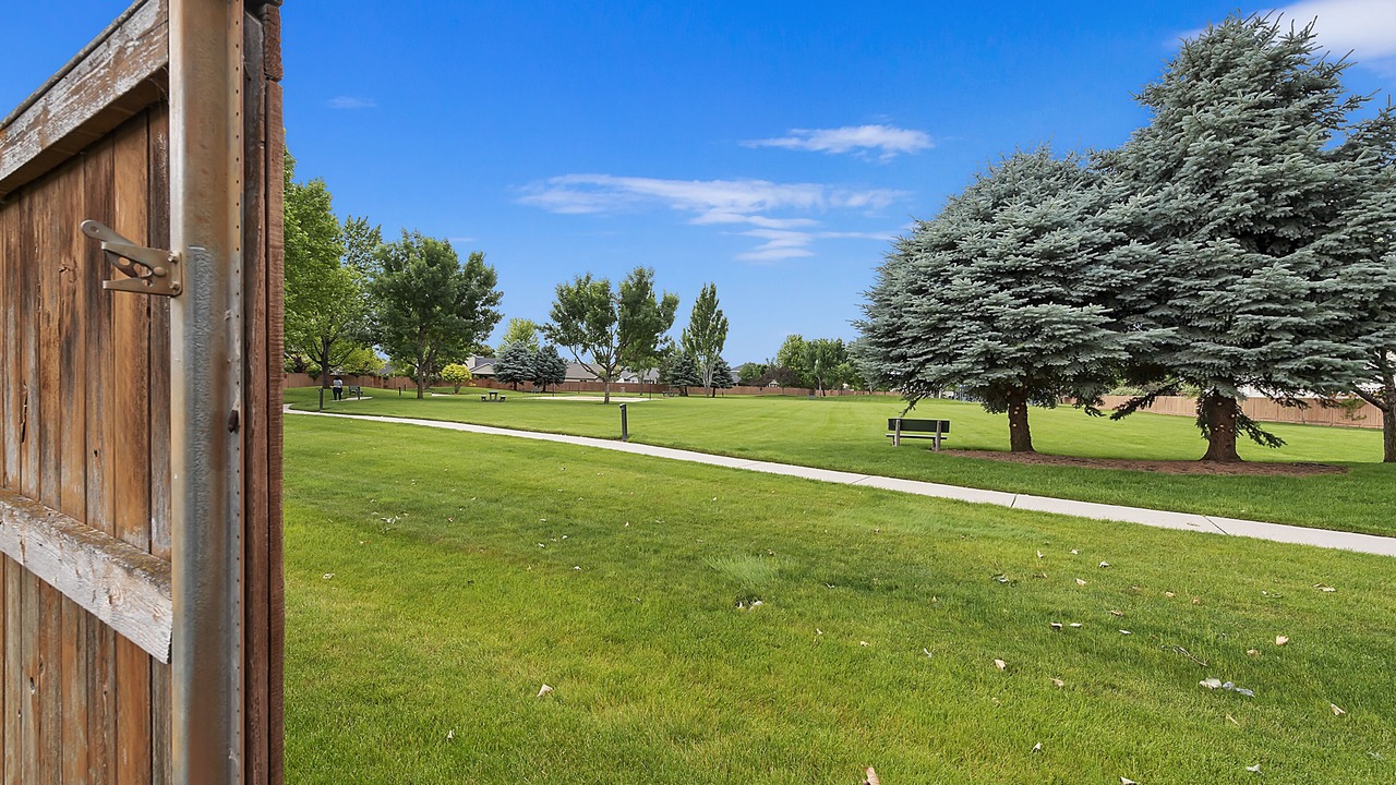 Photo of Others in Boise