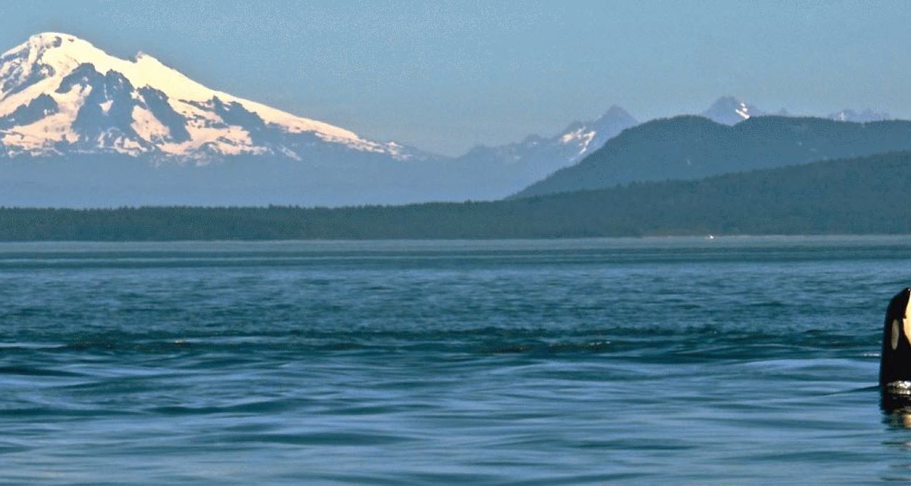 Photo of Others in Friday Harbor