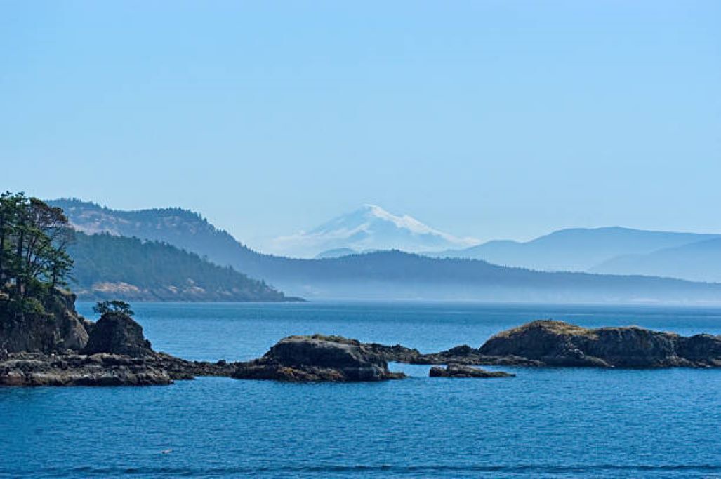 Photo of Others in Friday Harbor