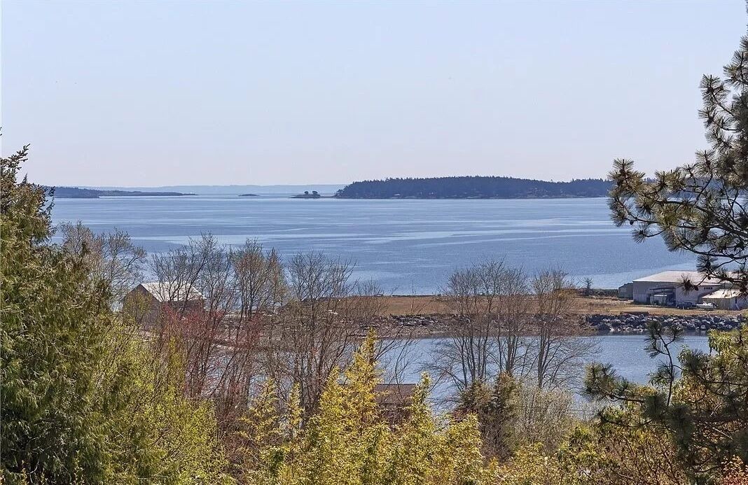 Photo of Others in Friday Harbor
