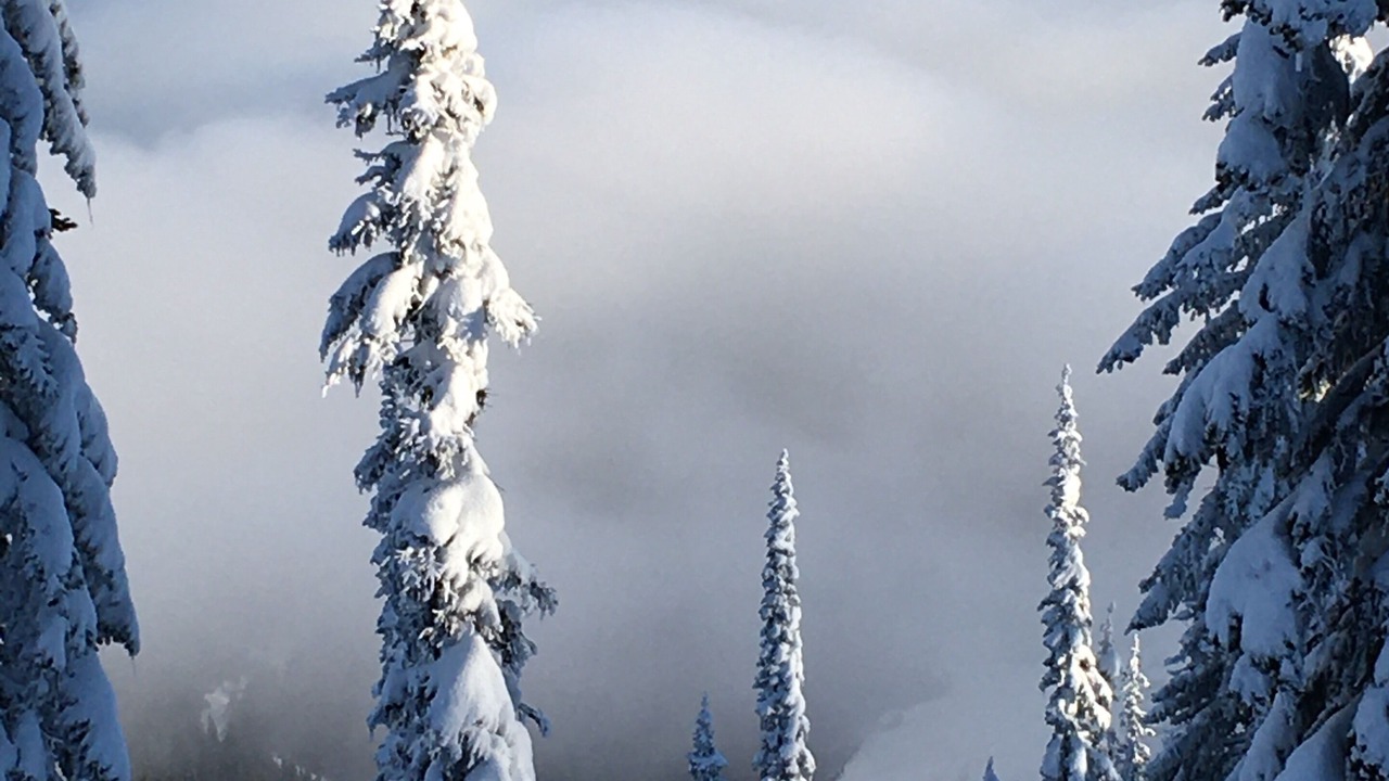 Photo of Others in Sandpoint