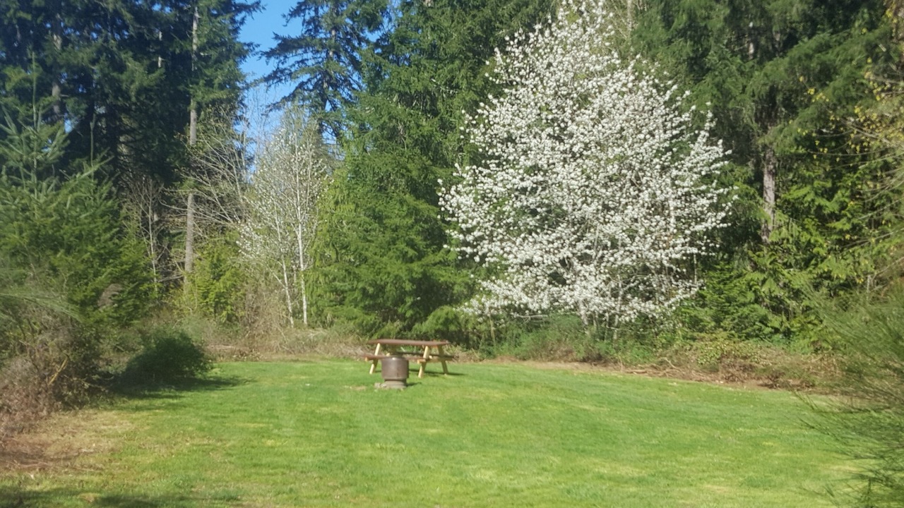 Photo of Outdoor in Ryderwood