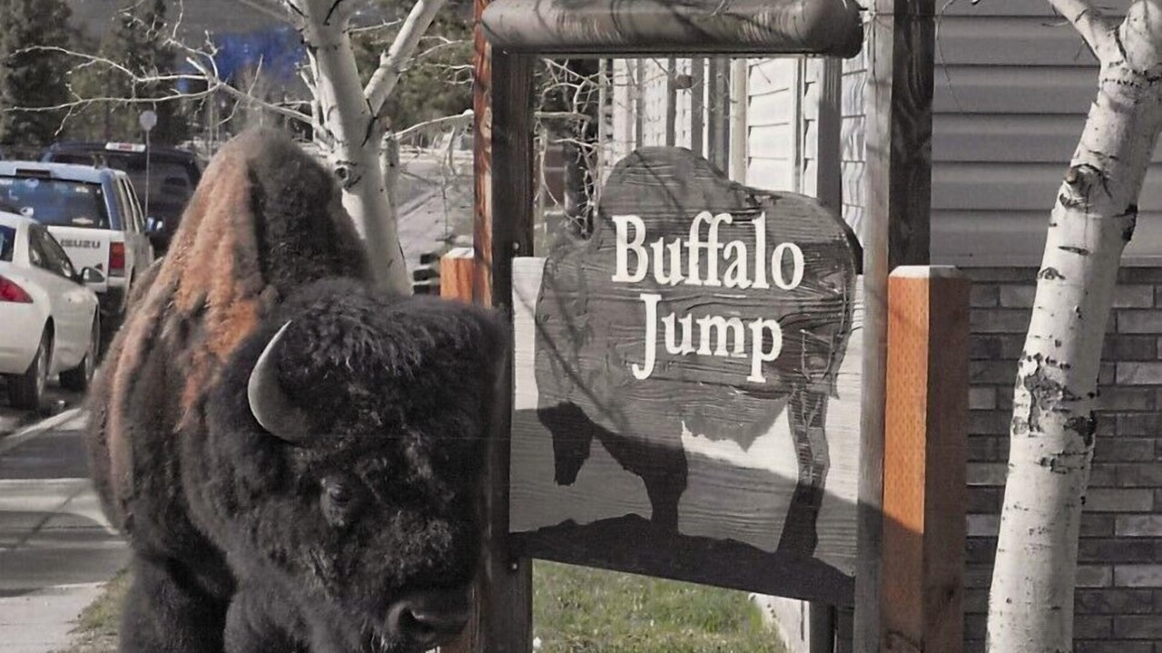 Photo of Others in West Yellowstone
