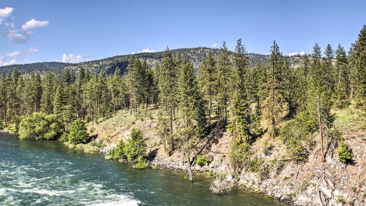 Photo of Others in Nine Mile Falls