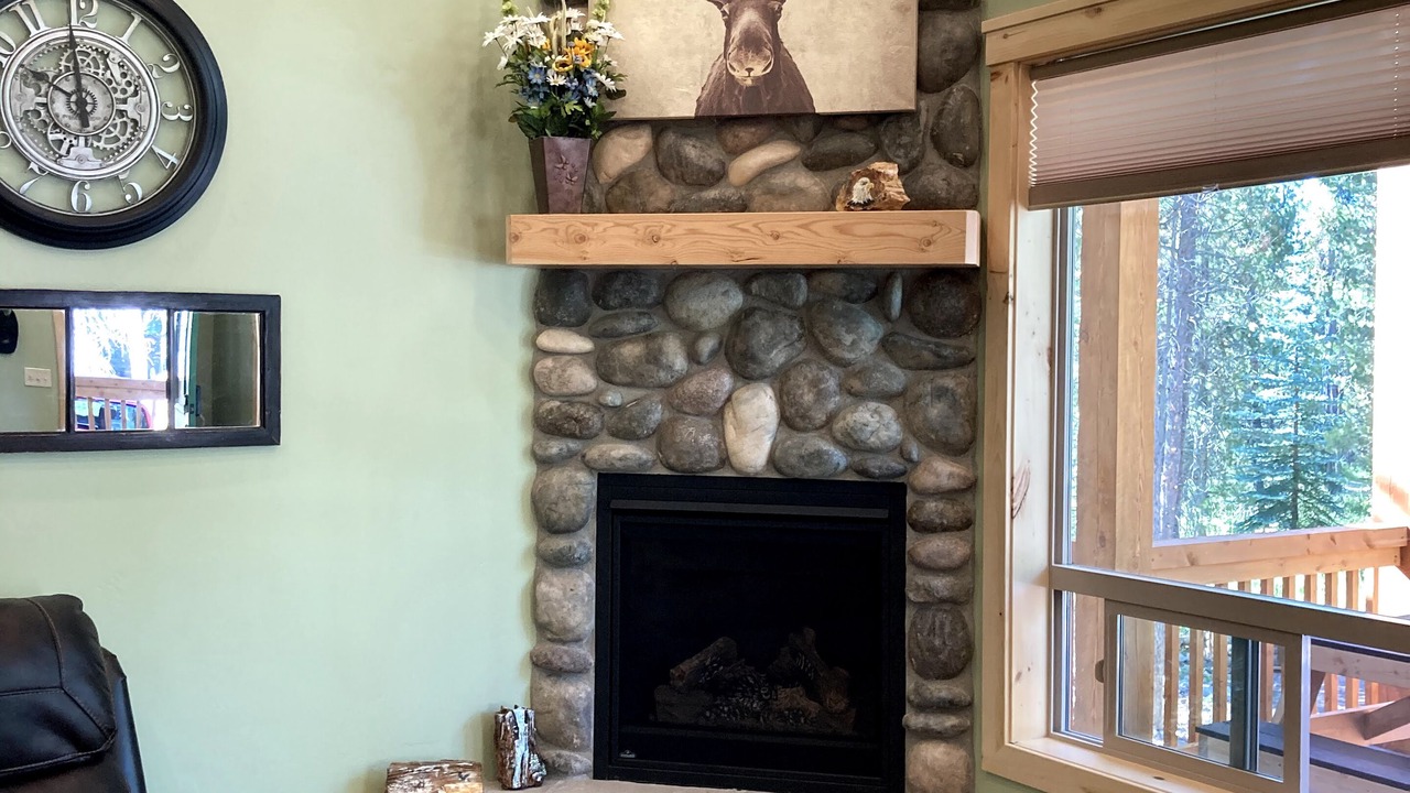 Photo of Livingroom in Island Park