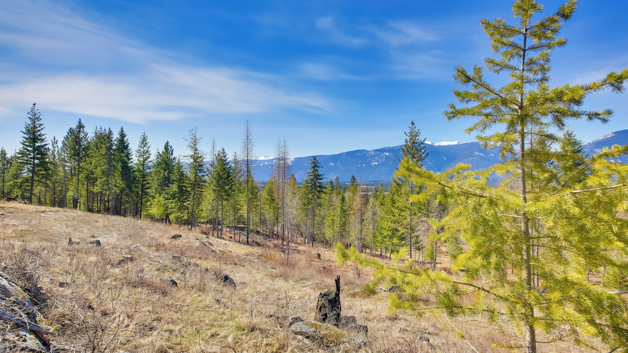 Photo of Others in Bonners Ferry