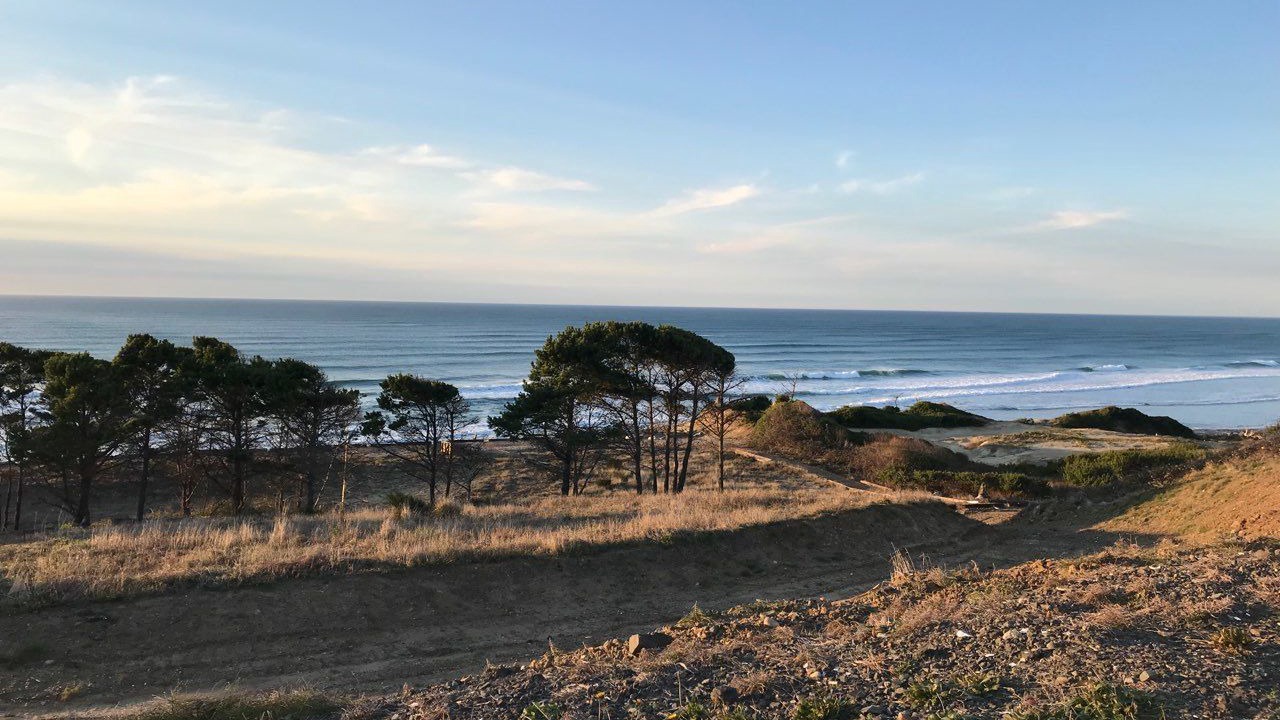 Photo of Others in Agate Beach