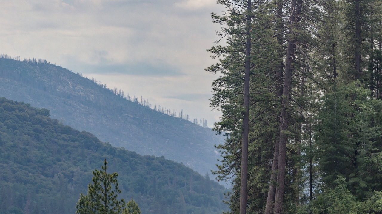 Photo of Others in Coeur d'Alene