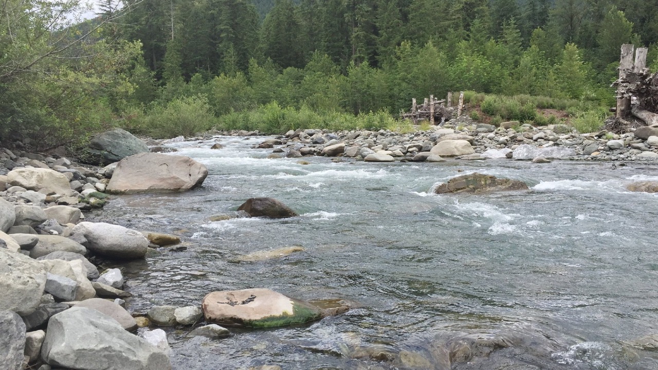 Photo of Others in Glacier