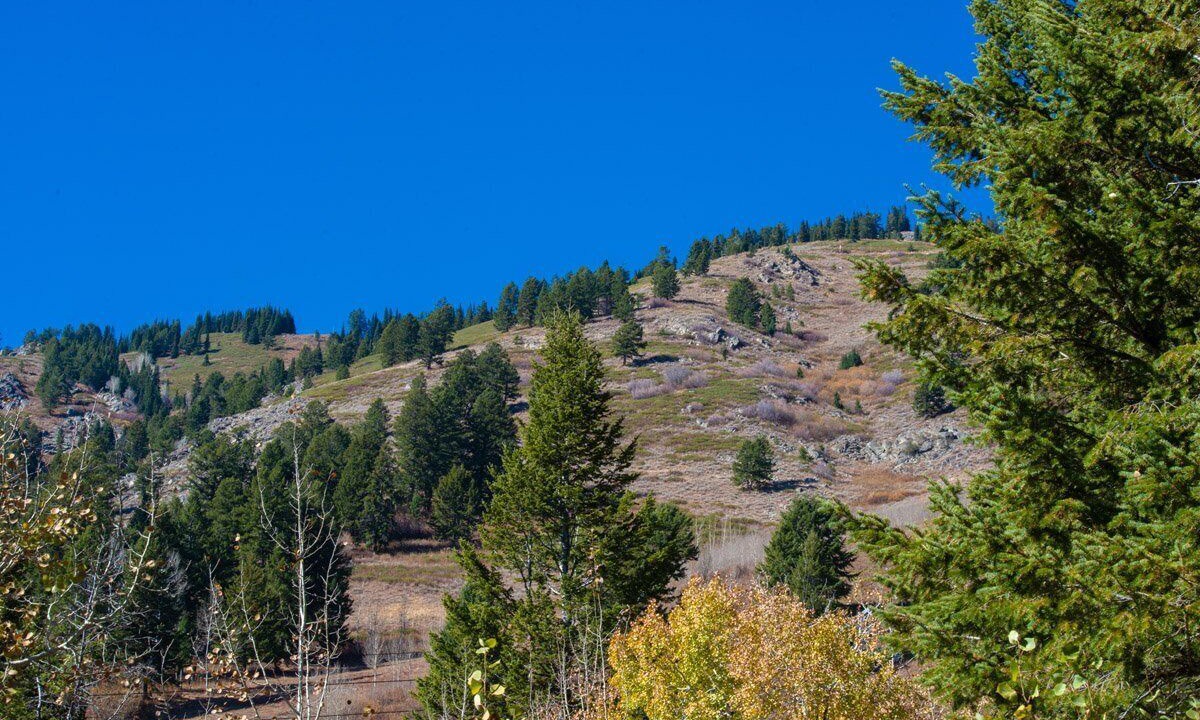 Photo of Outdoor in Teton Village