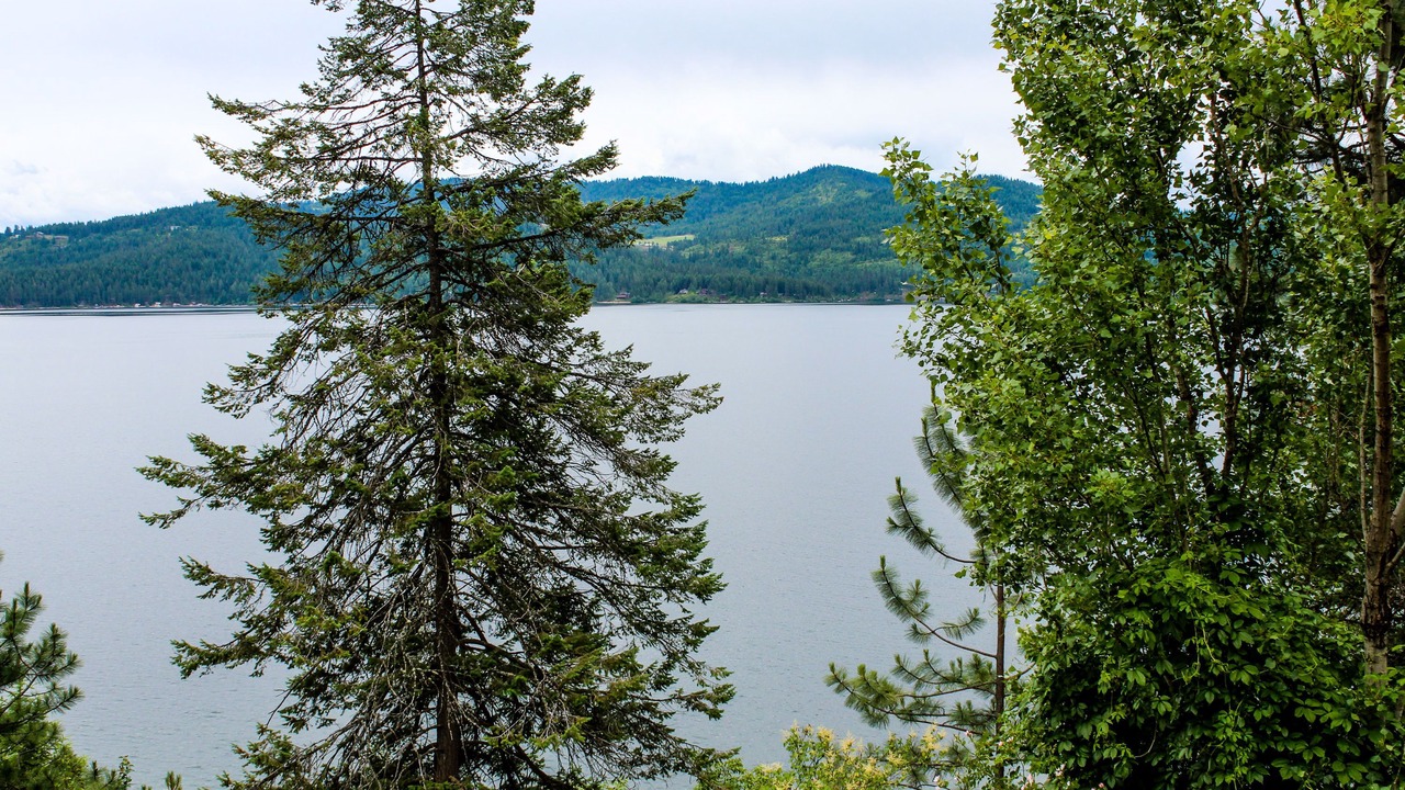 Photo of Others in Coeur d'Alene