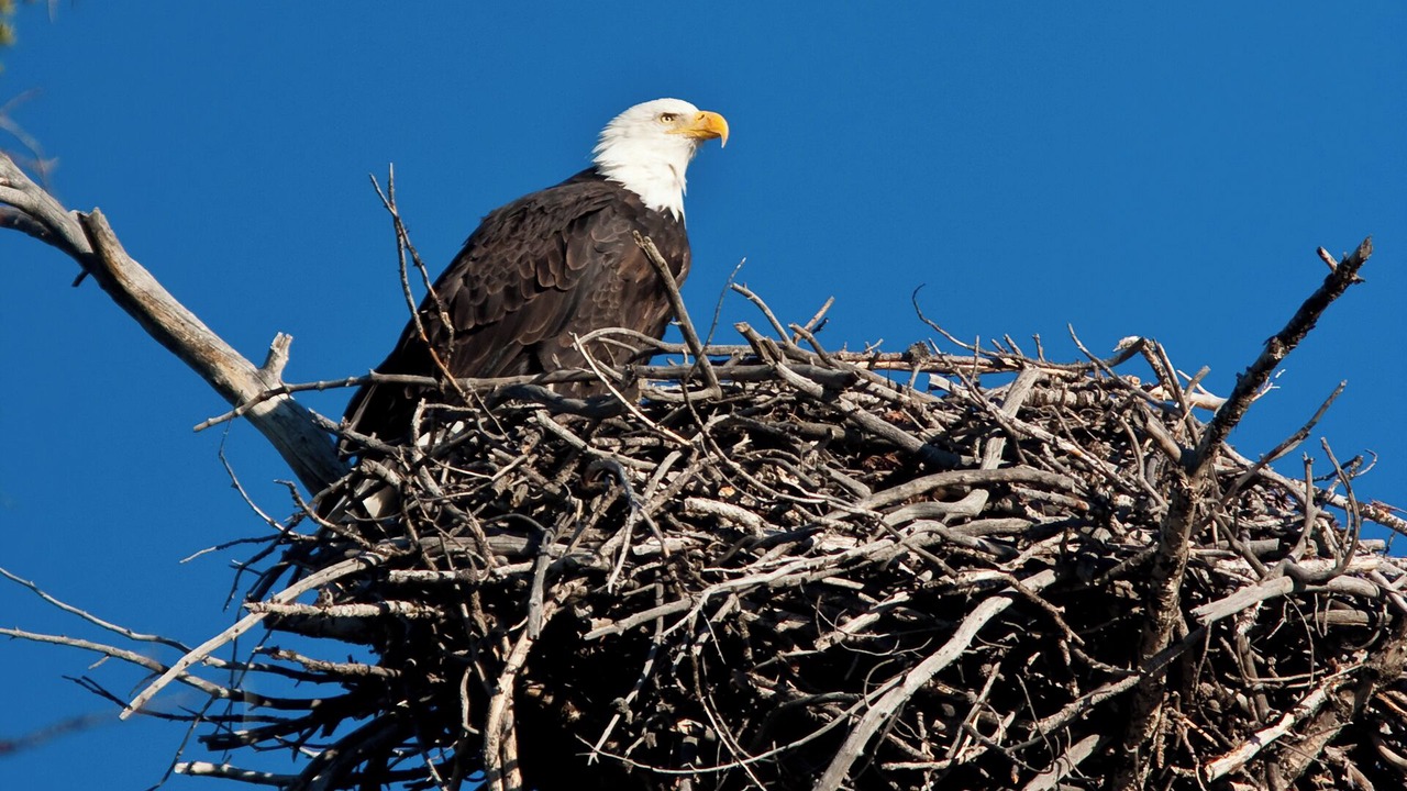 Photo of Outdoor in Spokane