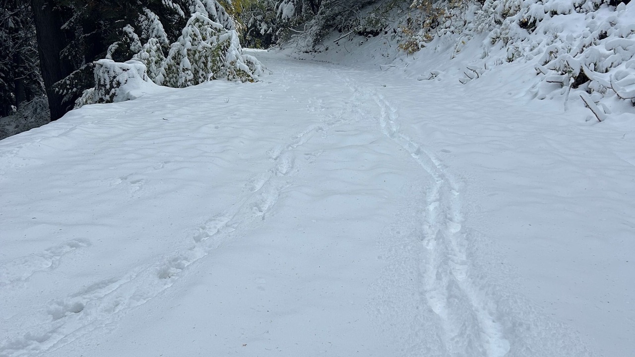 Photo of Others in Sandpoint