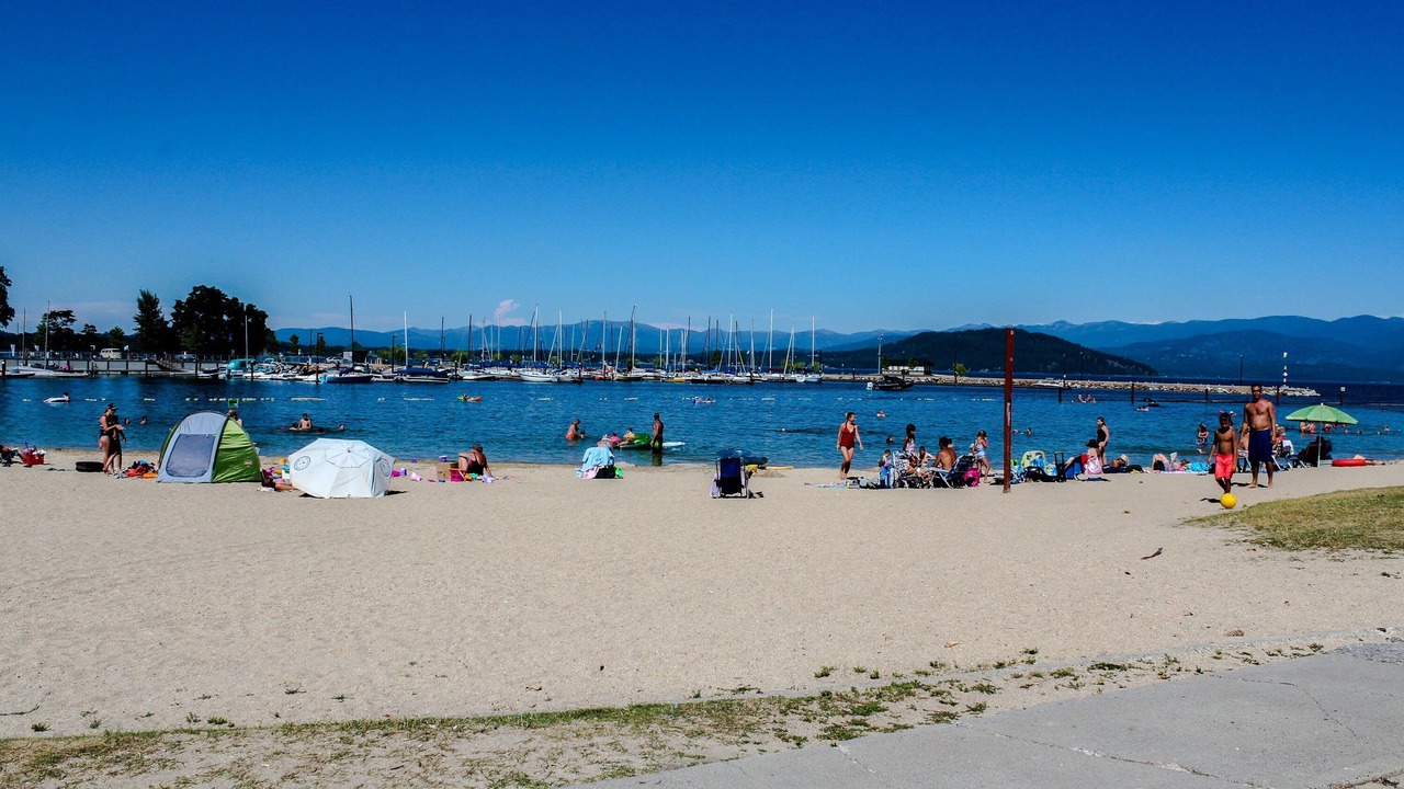 Photo of Others in Dover Bay
